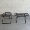 Bird Lounge Chair WIth Ottoman By Harry Bertoia For Knoll