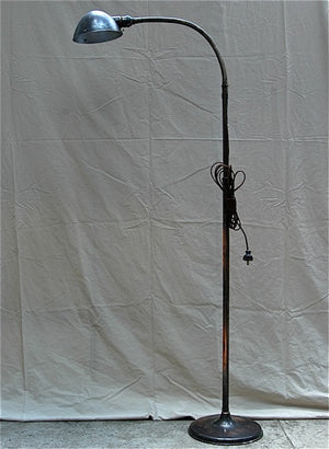 Steel Gooseneck Floor Lamp